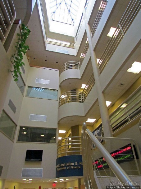 University of Toledo — один из крупнейших университетов США