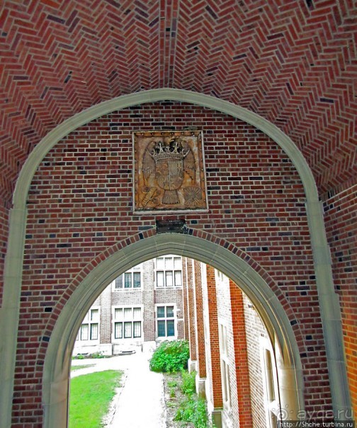 University of Toledo — один из крупнейших университетов США