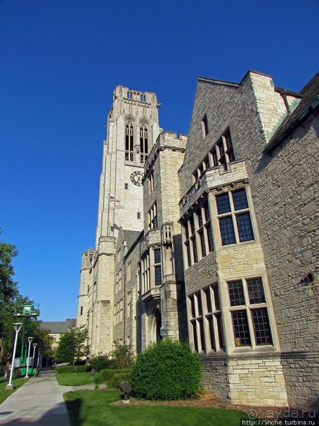 University of Toledo — один из крупнейших университетов США