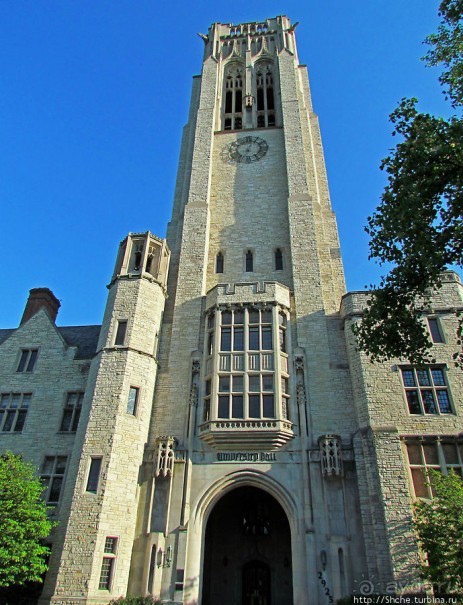 University of Toledo — один из крупнейших университетов США