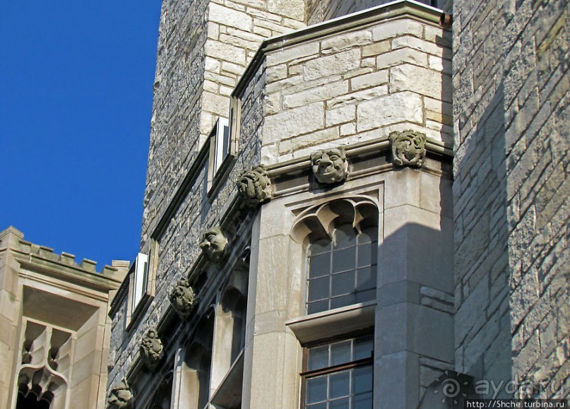 University of Toledo — один из крупнейших университетов США