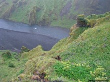 Альбом отзыва "Skogafoss- "компактный и мощный", один из символов Исландии"
