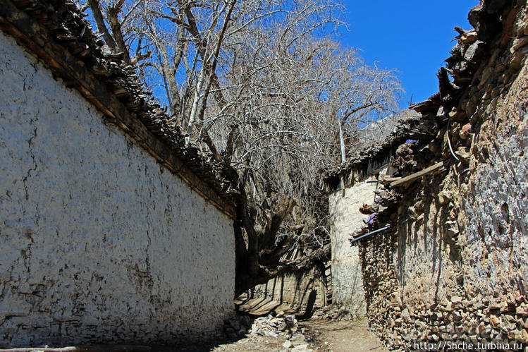 "Эх Самар ох городок..." Эталон тибетского градостроительста