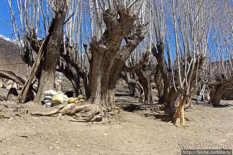 "Эх Самар ох городок..." Эталон тибетского градостроительста