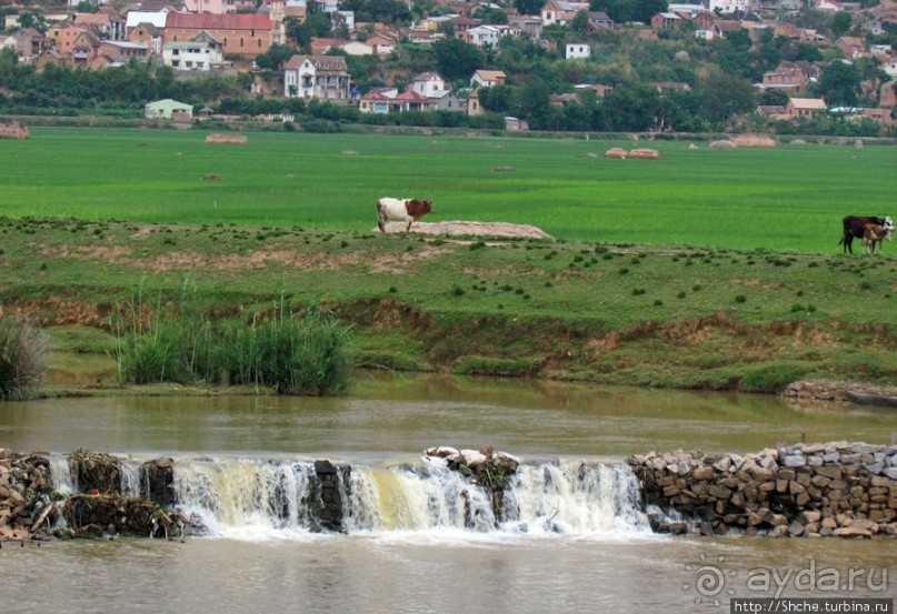 Удобное место запастись сувенирами на Мадагаскаре