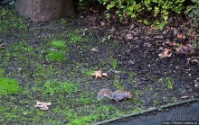 Притяжение каменных плит. Приходская церковь Св. Кутберта