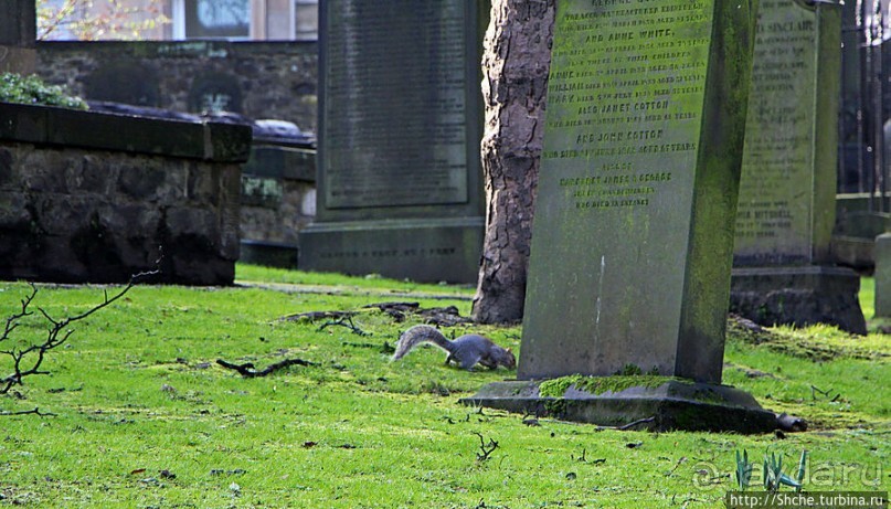 Притяжение каменных плит. Приходская церковь Св. Кутберта