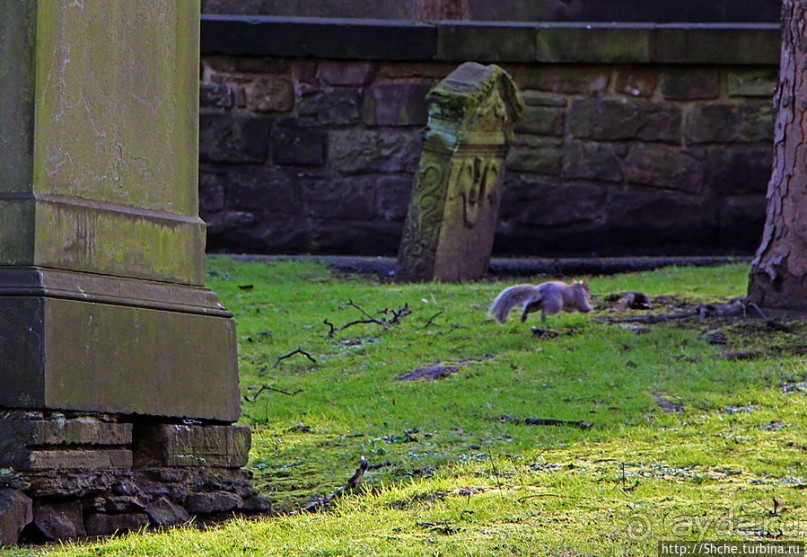 Притяжение каменных плит. Приходская церковь Св. Кутберта
