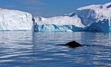 Бесконечность