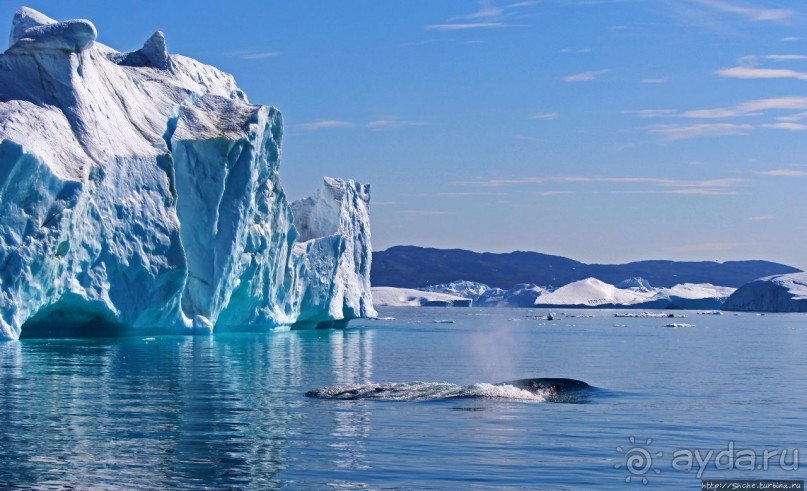 Бесконечность