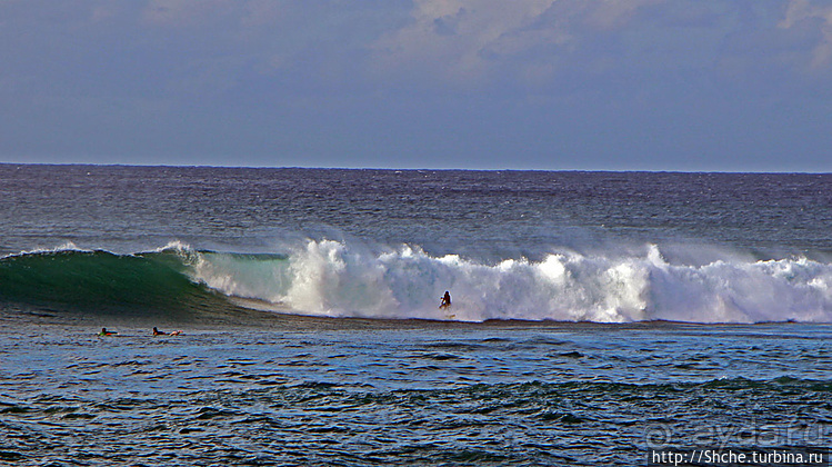 Серфинг. Парное выступление. Произвольная программа