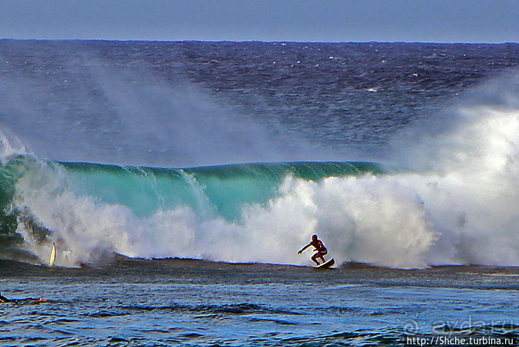 Серфинг. Парное выступление. Произвольная программа