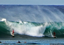 Серфинг. Парное выступление. Произвольная программа