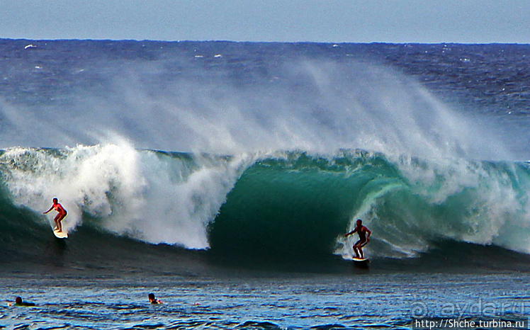 Серфинг. Парное выступление. Произвольная программа