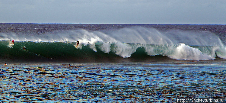 Серфинг. Парное выступление. Произвольная программа