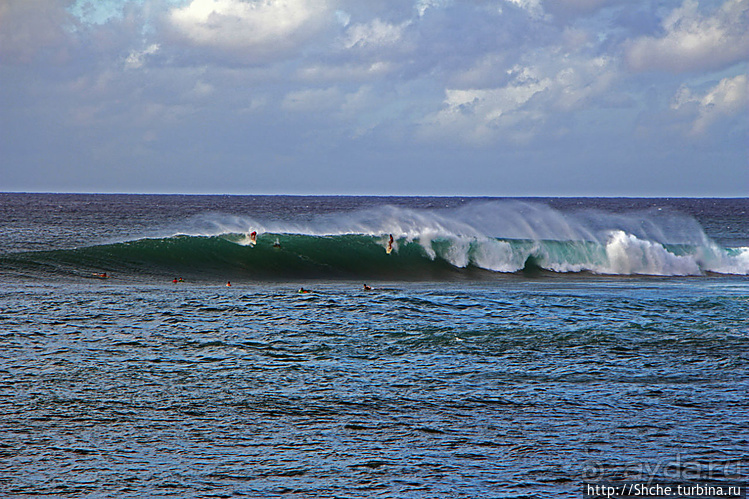Серфинг. Парное выступление. Произвольная программа
