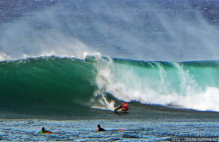 Серфинг. Парное выступление. Произвольная программа