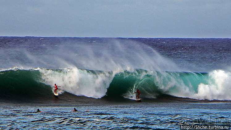 Серфинг. Парное выступление. Произвольная программа