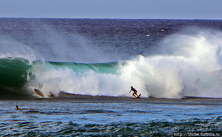 Серфинг. Парное выступление. Произвольная программа