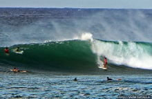 Серфинг. Парное выступление. Произвольная программа