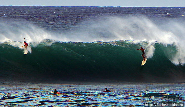 Серфинг. Парное выступление. Произвольная программа