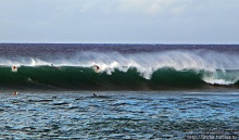 Серфинг. Парное выступление. Произвольная программа