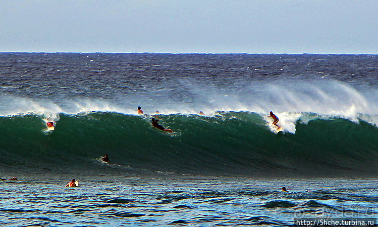 Серфинг. Парное выступление. Произвольная программа