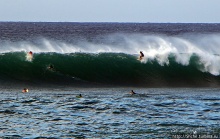 Серфинг. Парное выступление. Произвольная программа