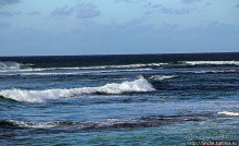 Серфинг. Парное выступление. Произвольная программа