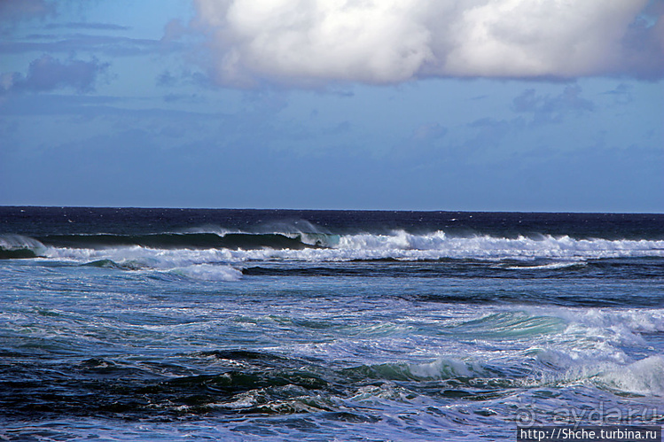 Серфинг. Парное выступление. Произвольная программа
