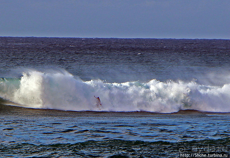 Серфинг. Парное выступление. Произвольная программа