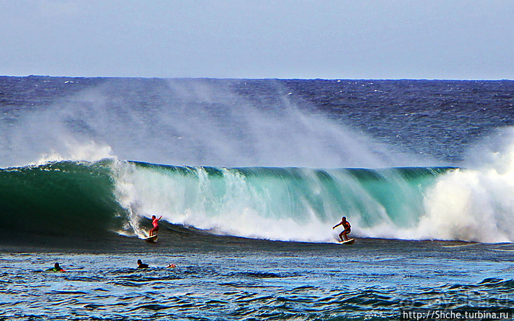Серфинг. Парное выступление. Произвольная программа