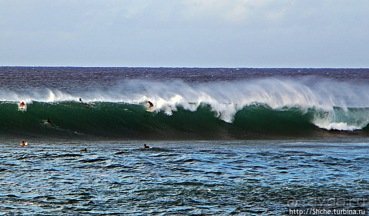 Серфинг. Парное выступление. Произвольная программа