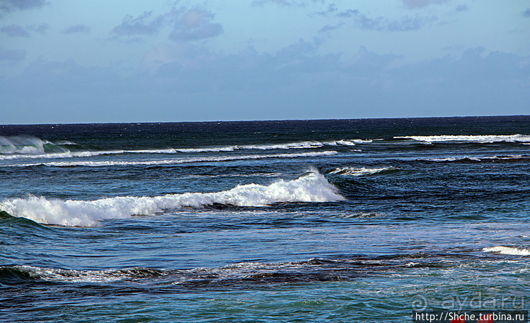 Серфинг. Парное выступление. Произвольная программа