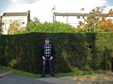 Дворцово-парковый ансамбль Хэмптон Корт