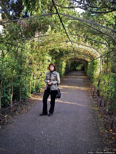 Дворцово-парковый ансамбль Хэмптон Корт