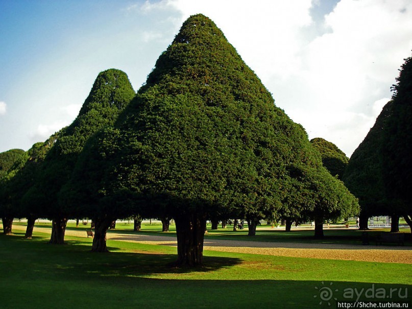 Дворцово-парковый ансамбль Хэмптон Корт