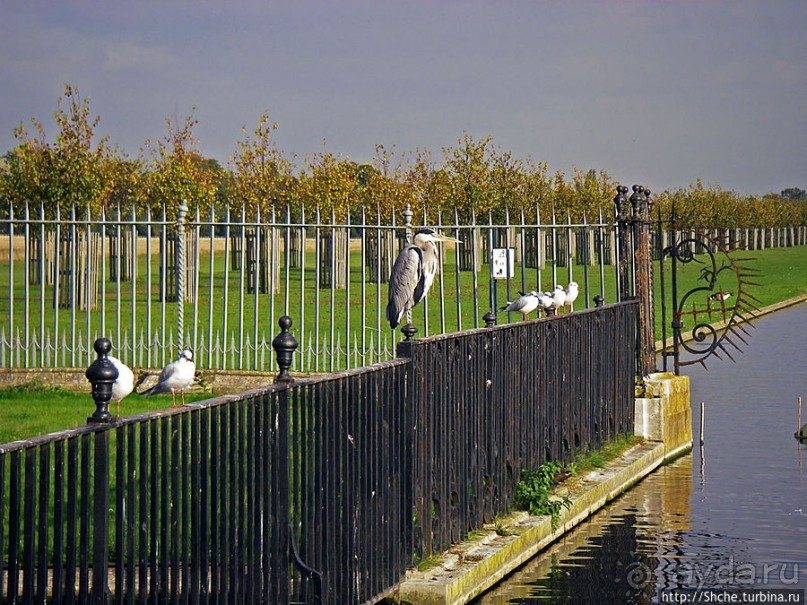Дворцово-парковый ансамбль Хэмптон Корт