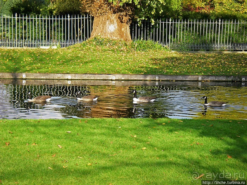 Дворцово-парковый ансамбль Хэмптон Корт
