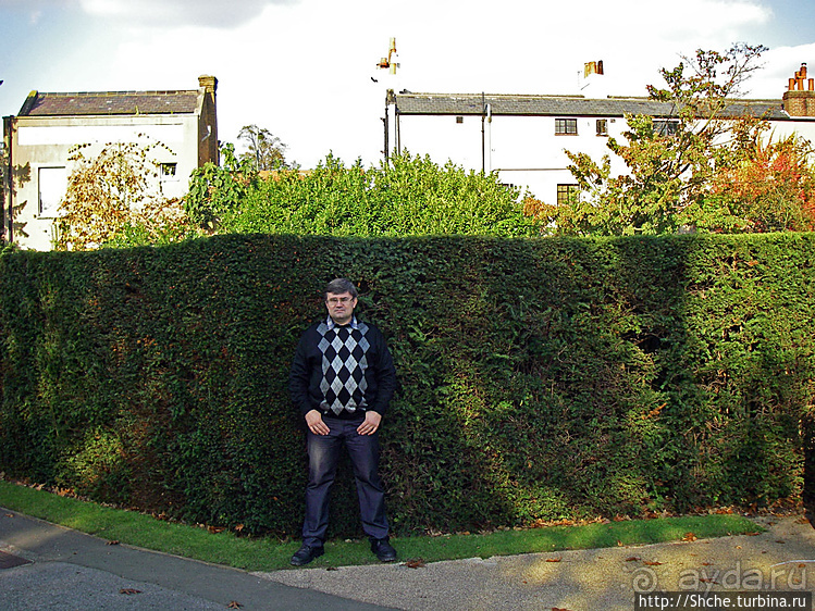 Дворцово-парковый ансамбль Хэмптон Корт