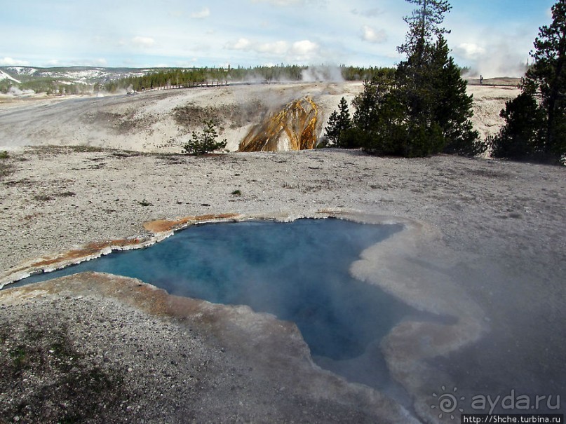 Источник "Голубая звезда" на холме гейзеров (Geyser hill)