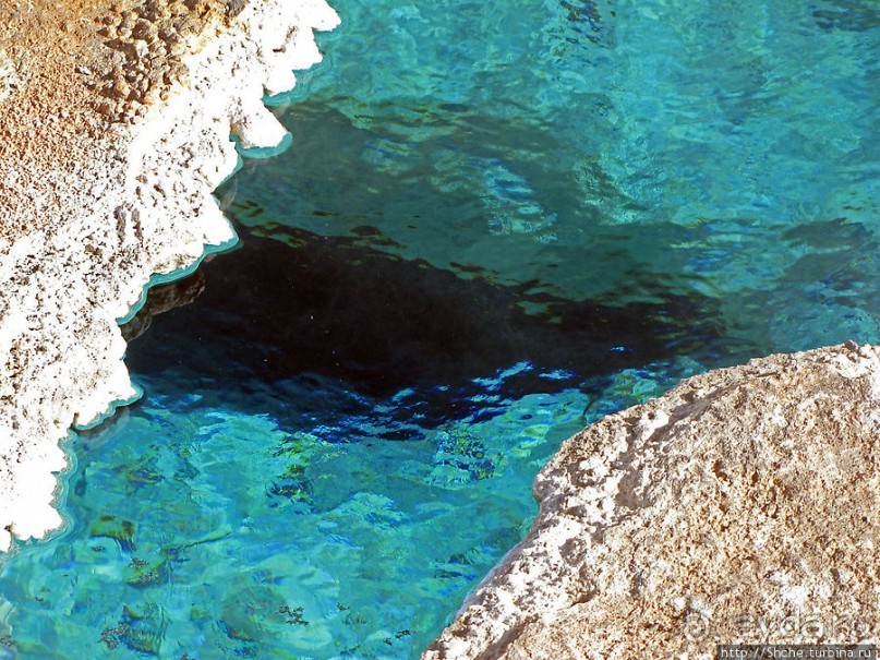 Источник "Голубая звезда" на холме гейзеров (Geyser hill)