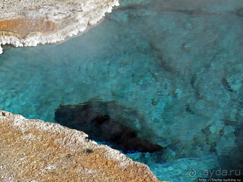 Источник "Голубая звезда" на холме гейзеров (Geyser hill)