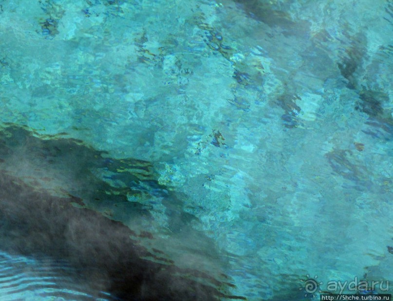 Источник "Голубая звезда" на холме гейзеров (Geyser hill)