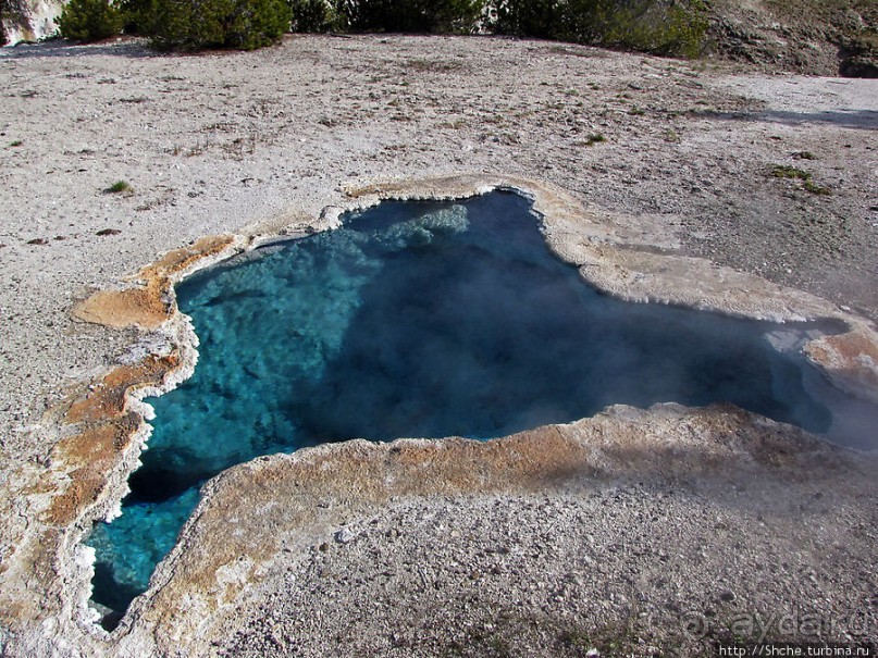 Источник "Голубая звезда" на холме гейзеров (Geyser hill)