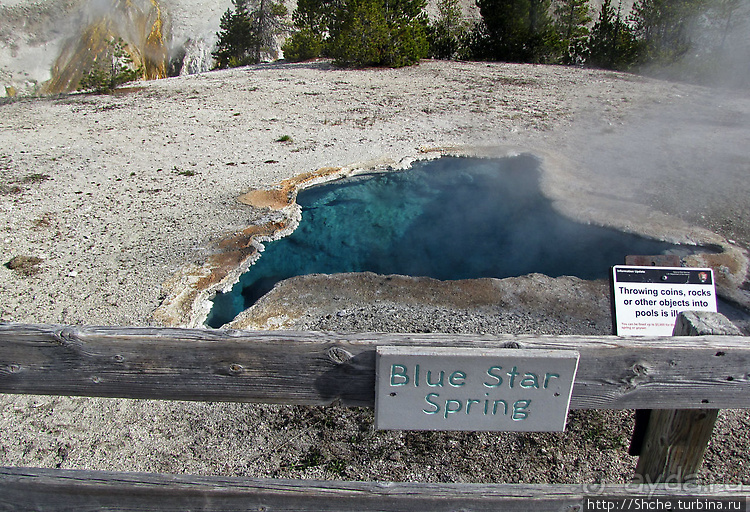 Источник "Голубая звезда" на холме гейзеров (Geyser hill)