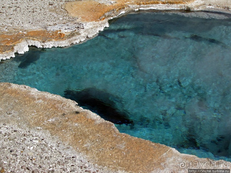 Источник "Голубая звезда" на холме гейзеров (Geyser hill)