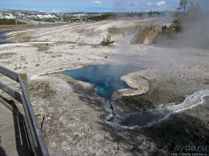 Источник "Голубая звезда" на холме гейзеров (Geyser hill)