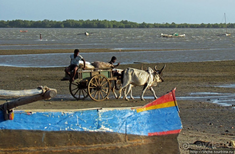 Рыбацкая бухта в Тулиаре. Отлив