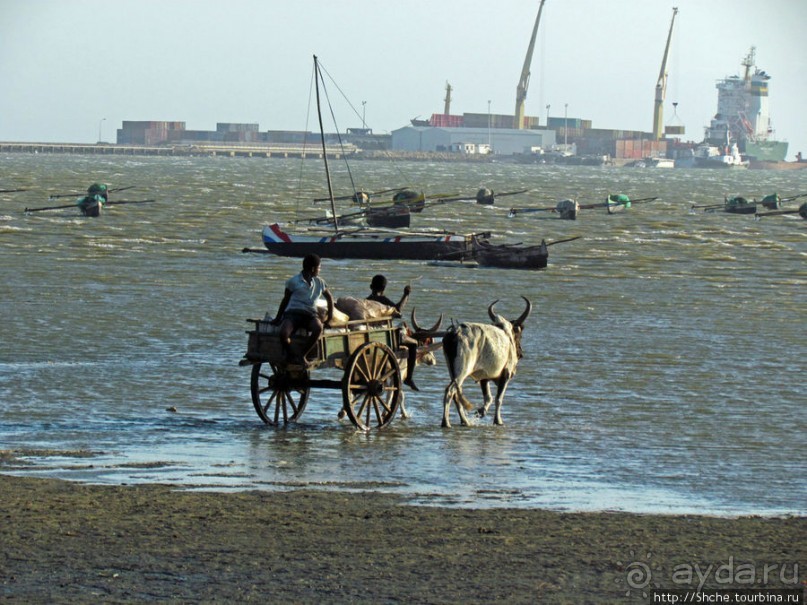 Рыбацкая бухта в Тулиаре. Отлив